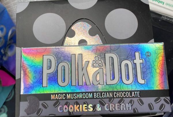 microdosing psilocybin chocolate