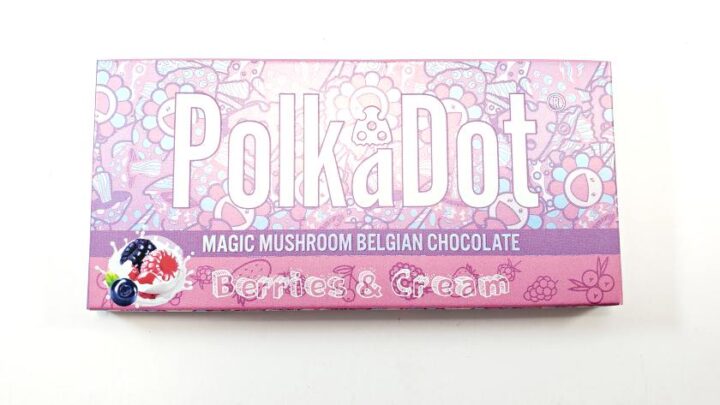 Polkadot psilocybin chocolate bars