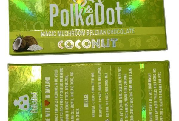 Buy Polkadot Vegan Coconut