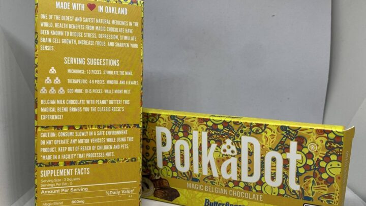 gourmet psilocybin chocolate