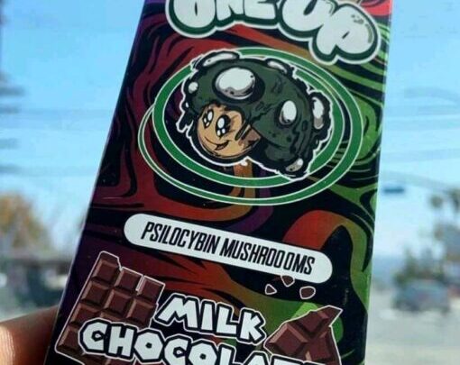 Psilocybin Chocolate Meditation Benefits