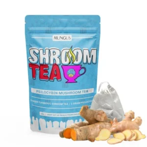 ginger lemon shroom tea buy